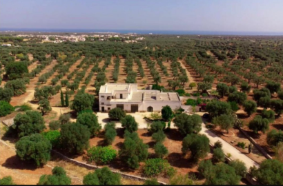 Farmhouse for sale in a quiet area ITFasano - Puglia