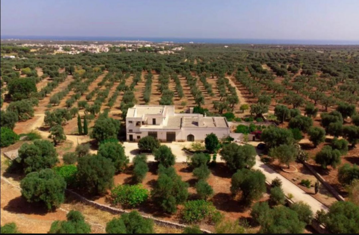 Farmhouse for sale in a quiet area ITFasano - Puglia